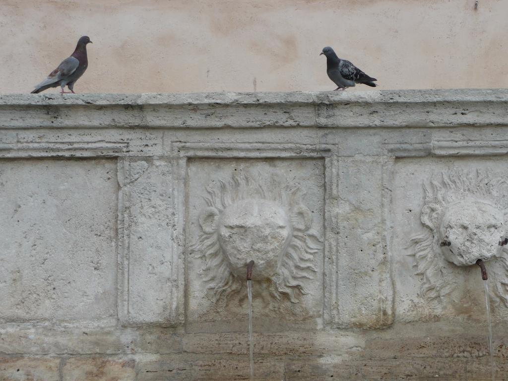 Villa Rosy Assisi Dış mekan fotoğraf
