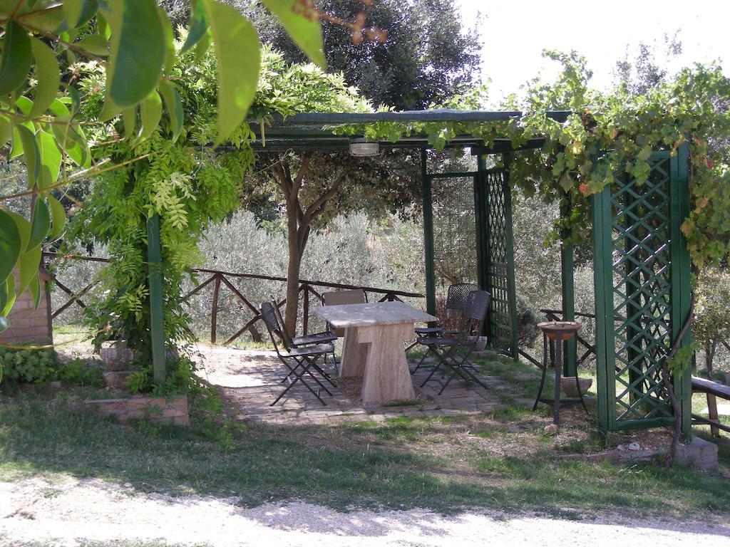 Villa Rosy Assisi Dış mekan fotoğraf