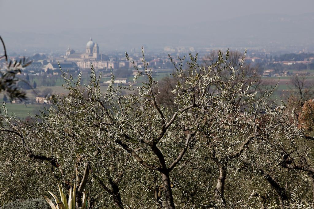 Villa Rosy Assisi Dış mekan fotoğraf