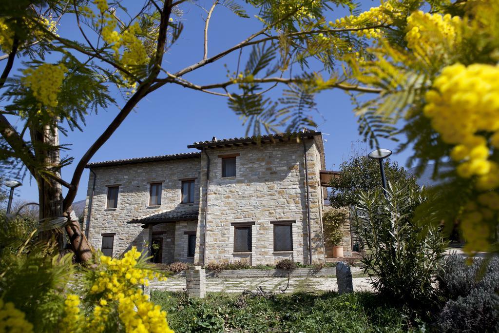 Villa Rosy Assisi Dış mekan fotoğraf