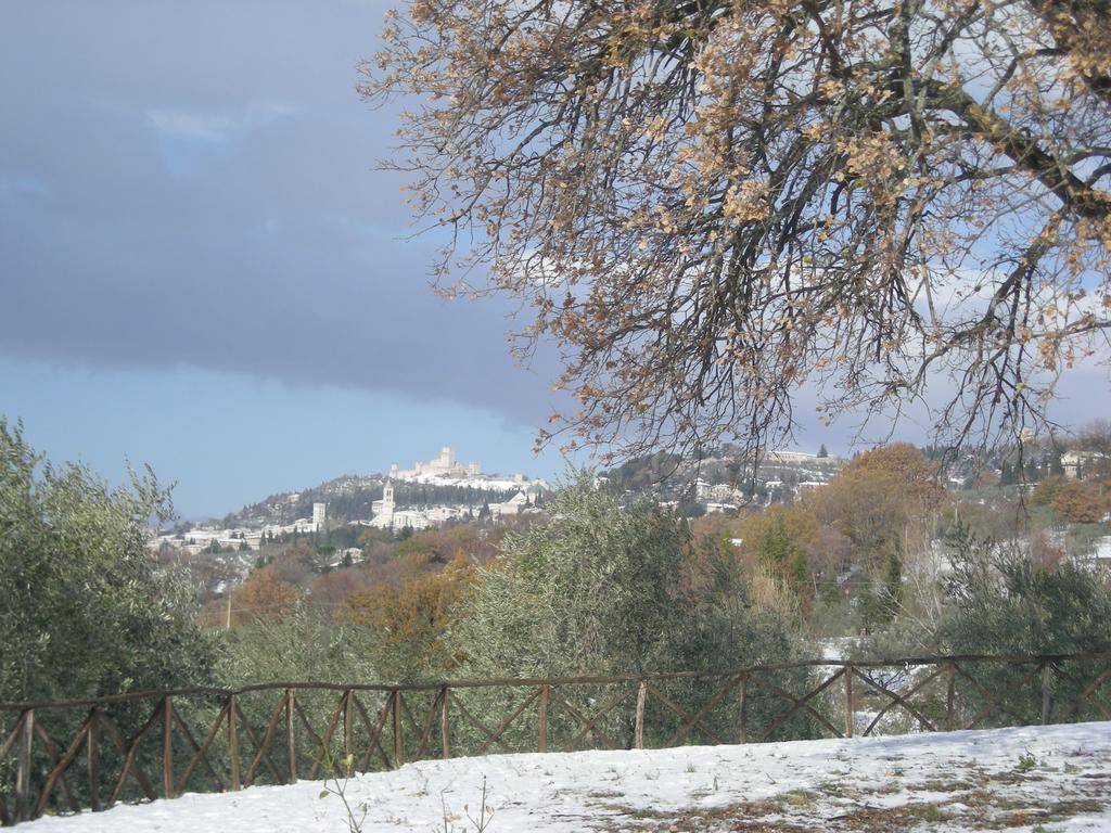 Villa Rosy Assisi Dış mekan fotoğraf