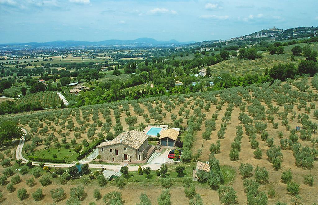 Villa Rosy Assisi Dış mekan fotoğraf